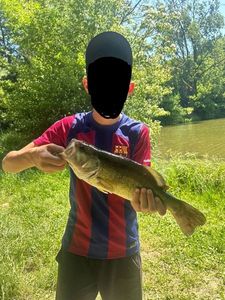 Largemouth Bass
