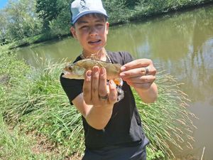 European Perch
