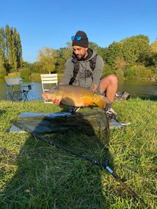Leather Carp