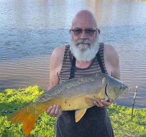 Mirror Carp