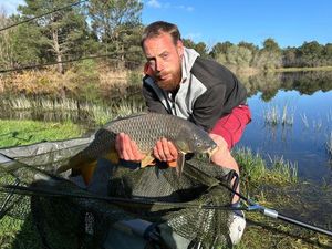 Common Carp