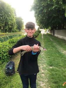 Northern Pike