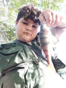 European Perch