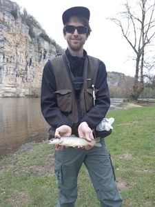 Brown Trout