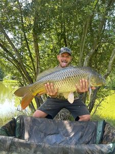 Common Carp