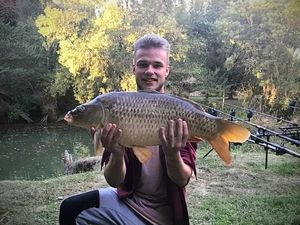 Common Carp