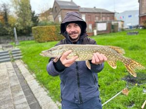 Northern Pike