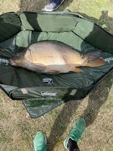 Leather Carp