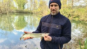 Northern Pike
