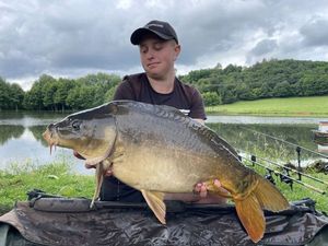 Mirror Carp