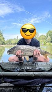 Common Carp