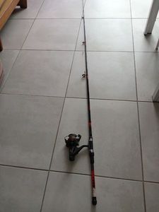 Grass Carp