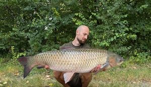 Silver Carp
