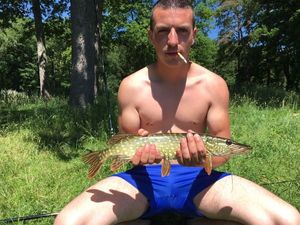 Northern Pike