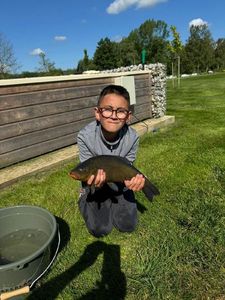 Tench