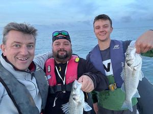 European Bass (Seabass)