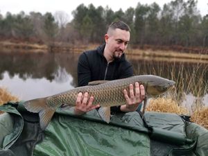 Grass Carp