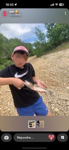 Rainbow Trout