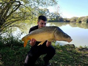 Mirror Carp