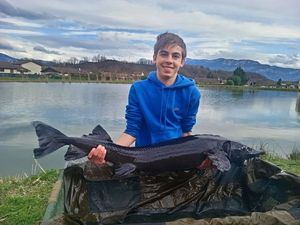 Sturgeon