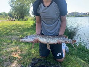 Northern Pike