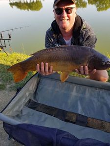 Mirror Carp