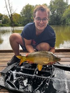 Mirror Carp