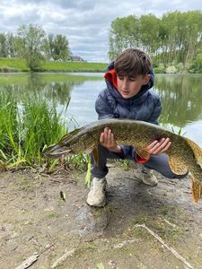 Amur Pike