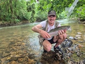 Rainbow Trout