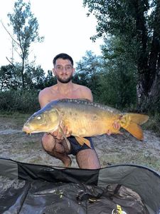 Mirror Carp