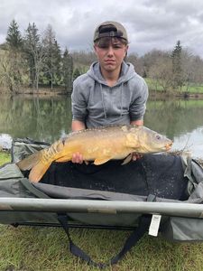 Mirror Carp