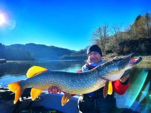 Northern Pike