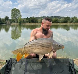 Common Carp