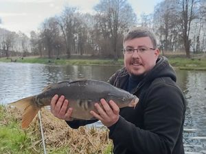 Mirror Carp