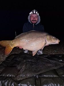 Mirror Carp