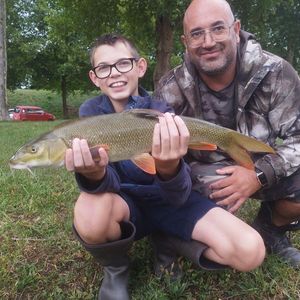 Barbel