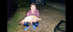 Common Carp