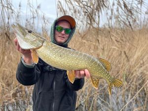 Northern Pike