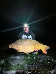 Mirror Carp