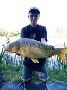 Mirror Carp