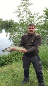 Northern Pike