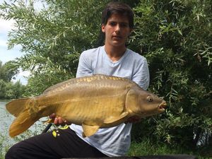 Mirror Carp