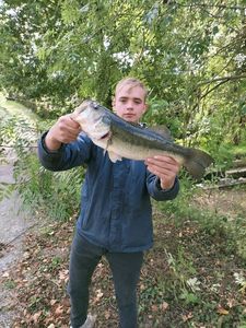 Largemouth Bass