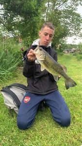 Smallmouth Bass