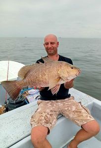 Cubera Snapper
