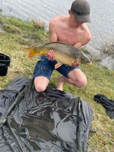 Mirror Carp