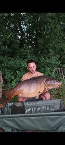 Leather Carp