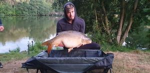 Leather Carp