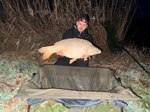 Mirror Carp