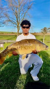 Common Carp